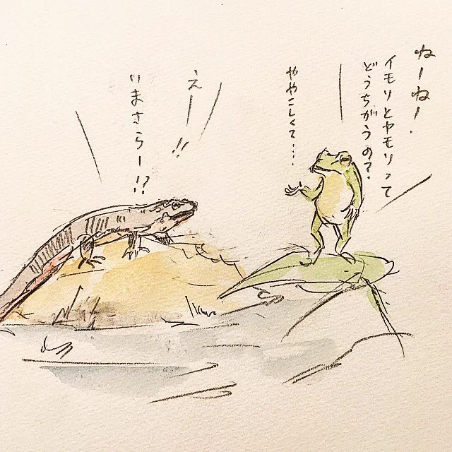 イモリとヤモリ、どっちがどっち？見分けがつきづらい動物達。