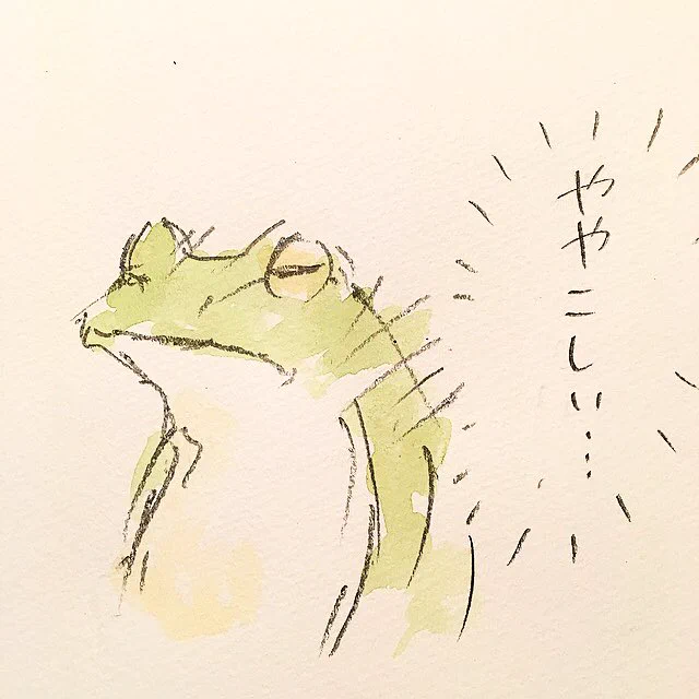 イモリとヤモリ、どっちがどっち？見分けがつきづらい動物達。