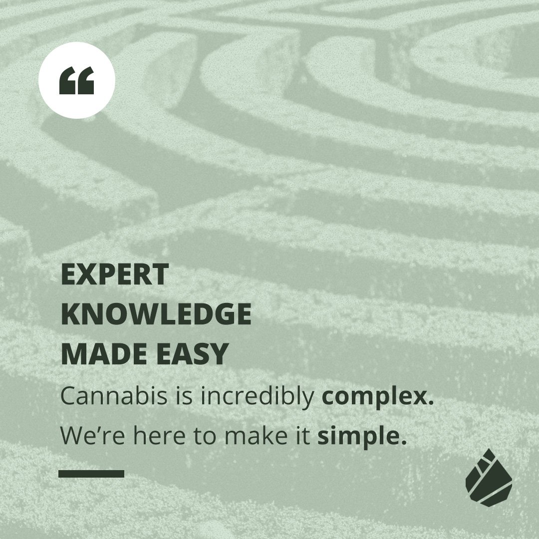 Are you new to the world of cannabis? Many new users feel overwhelmed when beginning their cannabis journey, ModernLeaf is here to help. We offer a bespoke customer experience designed to consistently provide the best possible product for the individual #cannabis #modernleaf