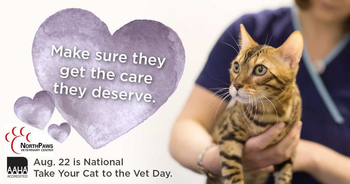 NorthPaws's tweet image. Annual wellness examinations are important to keep your feline friends happy &amp;amp; healthy. Has it been a while since we've seen your cat? Give us a call to schedule their wellness appointment today!