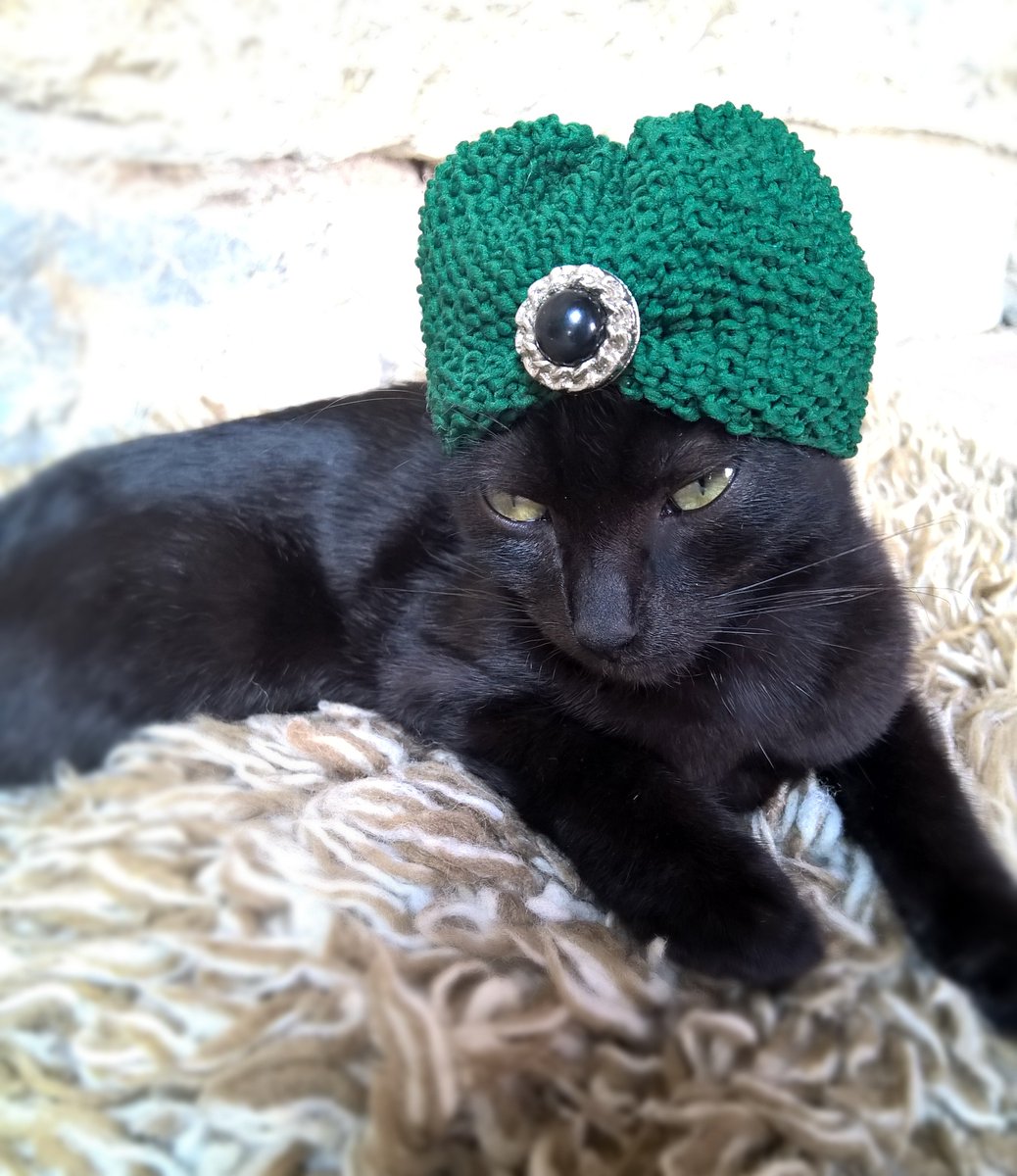 I'm bored. Amuse me, Human.
Turban hat ->etsy.me/2BzlxeS
#shopsmall #cats #cat #pets #cutie #cute #catsinhats #blackcats #kittycat #kitty #fashion #fashionista #style #catsoftheday #catworld #catlovers #catlover #ilovecats #catsinfunnyhats #catworld   #turban #turbanhat