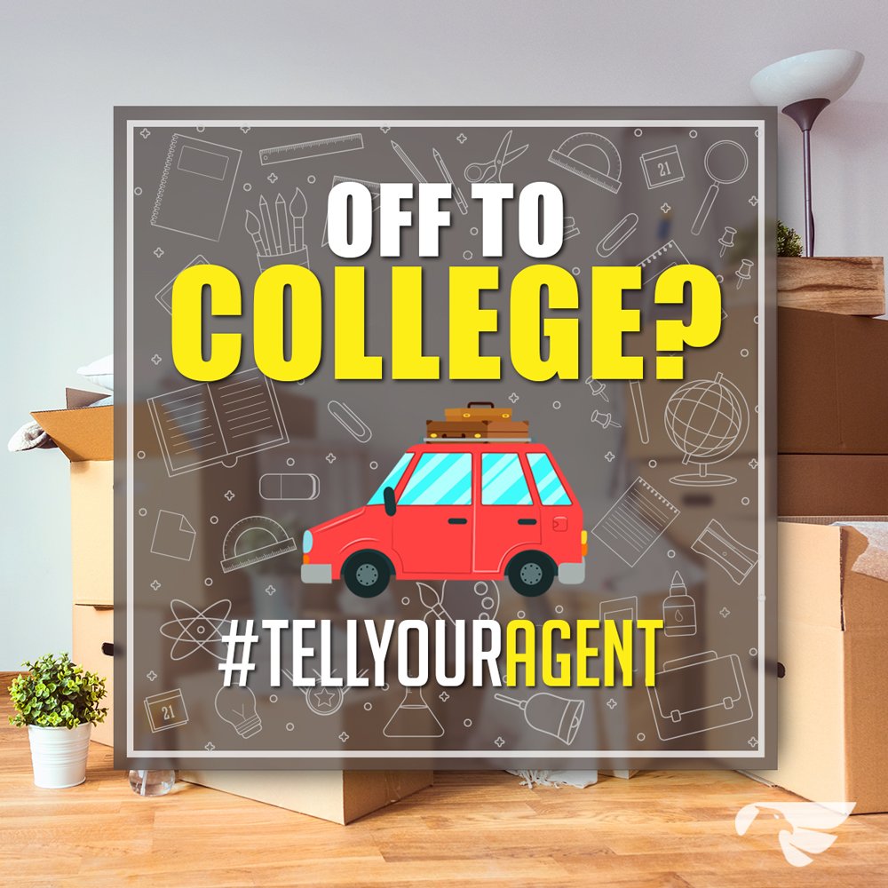 Buckland Insurance (Buckland_Ins) Twitter