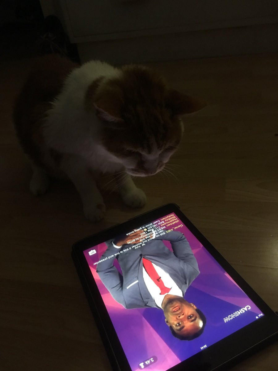 bobdragqueen's tweet photo. O’Malley loves playing @CashShowUK we play every time it’s on! #cashshowuk https://t.co/HzHdXdCOZn