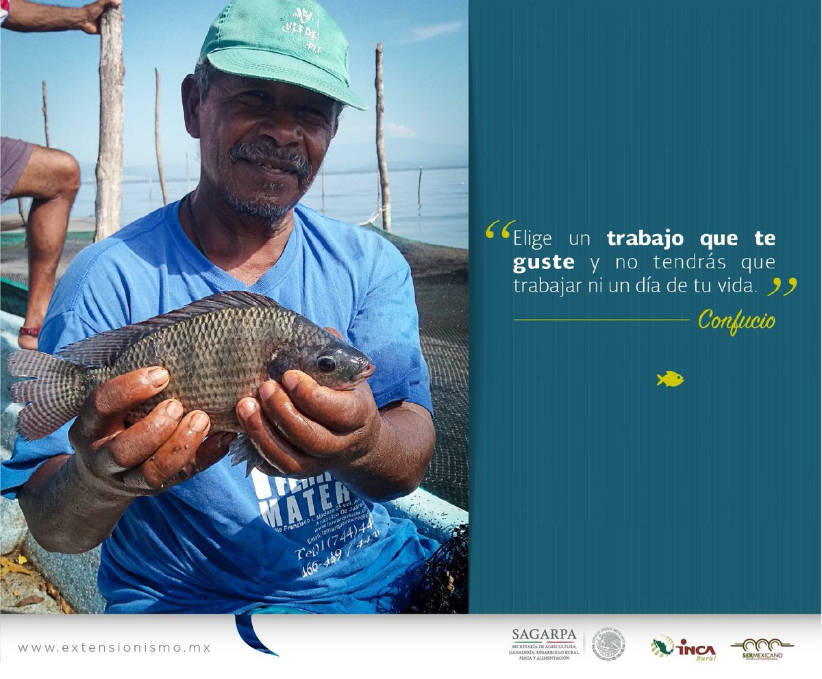 Extensionismo México (@extensionismomx) on Twitter photo Buen día amigos, a poner todo nuestro empeño en las actividades del día de hoy 🤠💪 <a href="/BaltazarxTam/">Baltazar Hinojosa O.</a> Buen día amigos, a poner todo nuestro empeño en las actividades del día de hoy 🤠💪 <a href="/BaltazarxTam/">Baltazar Hinojosa O.</a>