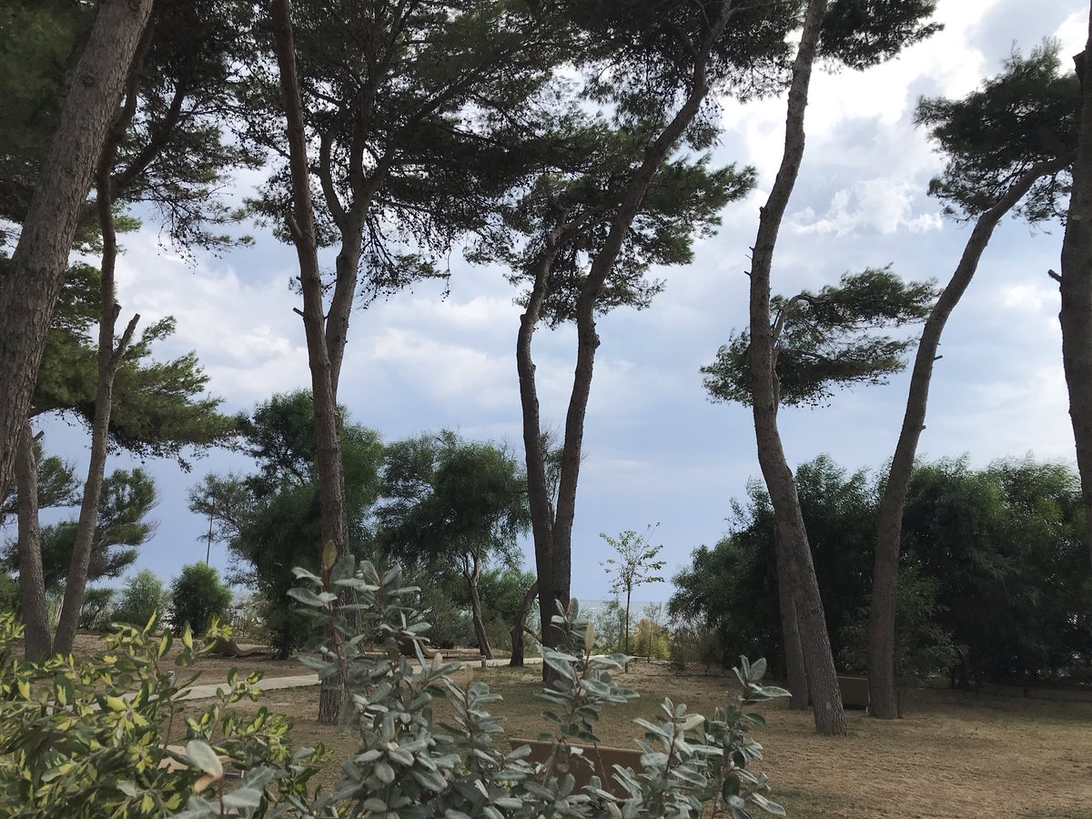 Andrea_Radic's tweet photo. Al @PraiaArtResort un luogo stupendo a #Praialonga (Crotone) #lusso #relax #stile #gusto https://t.co/dlb92hUgps