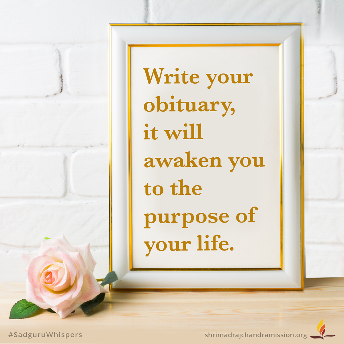 SRMDharampur's tweet photo. #SadguruWhispers #Quotes #QOTD #StrongPurpose #LifeGoals #OneStrongReason #PenItDown #ThoughtfulThursday https://t.co/ohJrrXLluQ
