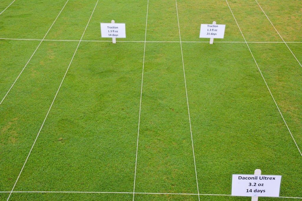 Traction fungicide providing excellent Dollarspot management under fairway conditions at Michigan State University. Note both 14 and 21 Day control intervals.