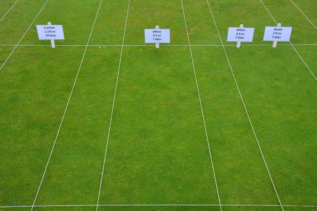 Nufarm’s basal rot anthracnose management tools. Traction and Affirm fungicides providing excellent efficacy and turf quality at Michigan State University.