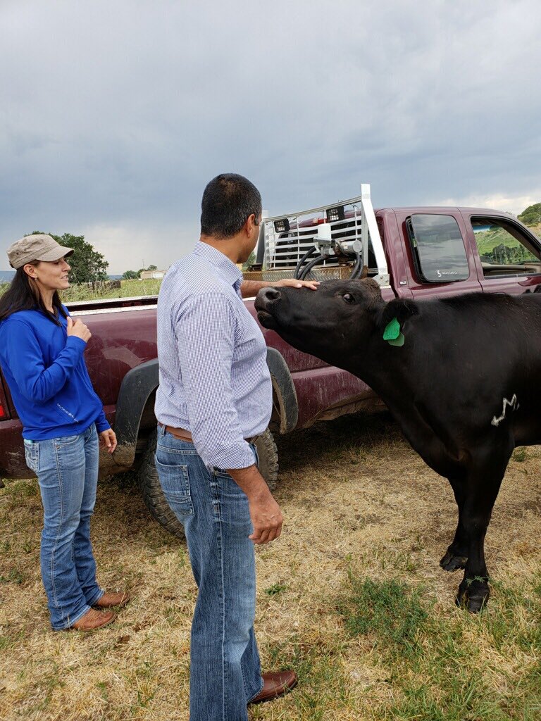 AjitPai's tweet photo. Connected cattle: thanks to McCarty Cattle Company for showing me how they use technology to raise &amp; sell cattle. From precisely monitoring each cow with RFID chips to online auctions, Morgan McCarty explained how the modern cattle ranch requires sweat equity &amp; connectivity.🐄 https://t.co/E6FqzIIPMU