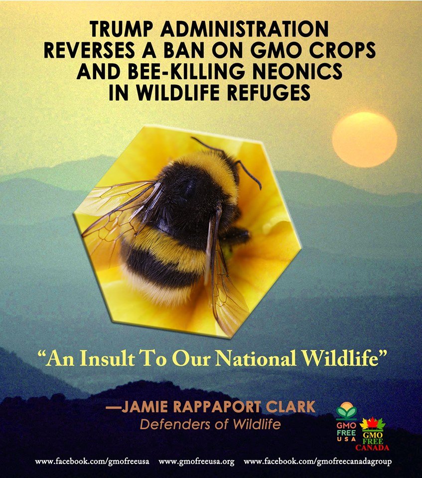 ebook Boards and Wards: A Review for the USMLE,