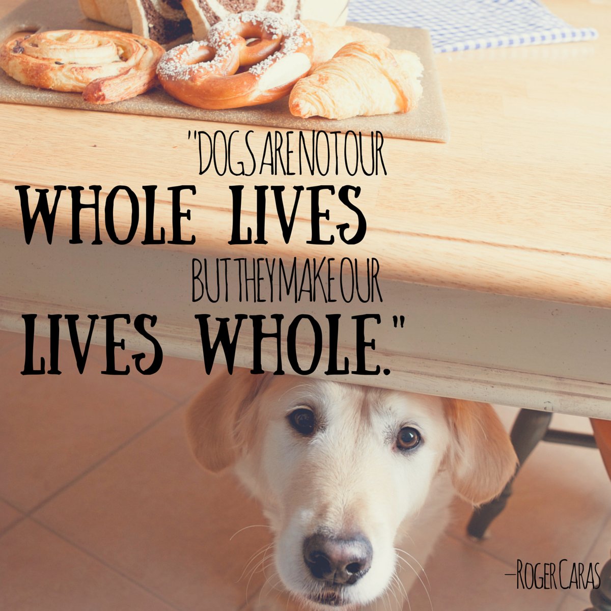 GFarmstead's tweet photo. "Dogs are not our whole lives but they make our lives whole." https://t.co/C6ToLAh6f2