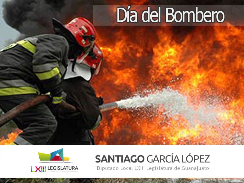 "La obra humana màs bella es la de ser útil al prójimo"

Gracias a todos los héroes anónimos que todos los días salen a enfrentar peligros por salvar vidas.