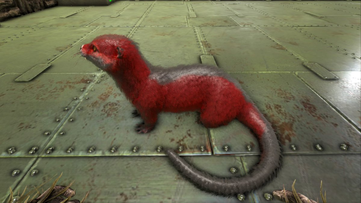 カワウソ テイム Ps4 Ark カワウソ Otter