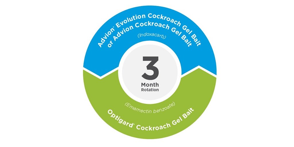 SyngentaPest's tweet image. #Cockroaches know a lot about flavor, so rotate baits to help manage resistance. &amp;lt;ow.ly/qMjm30ls6gz&amp;gt; #CockroachSolutions