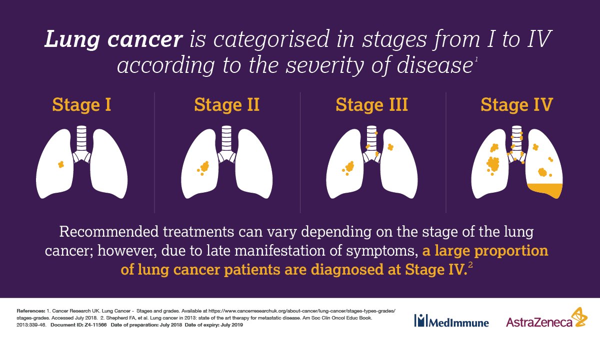 AstraZeneca's tweet image. Staging #cancer is a key piece of the puzzle when matching patients with treatment. Tumours that spread from the original site in the lung to parts of the body beyond the chest are classified as metastatic, or Stage IV, lung cancers.