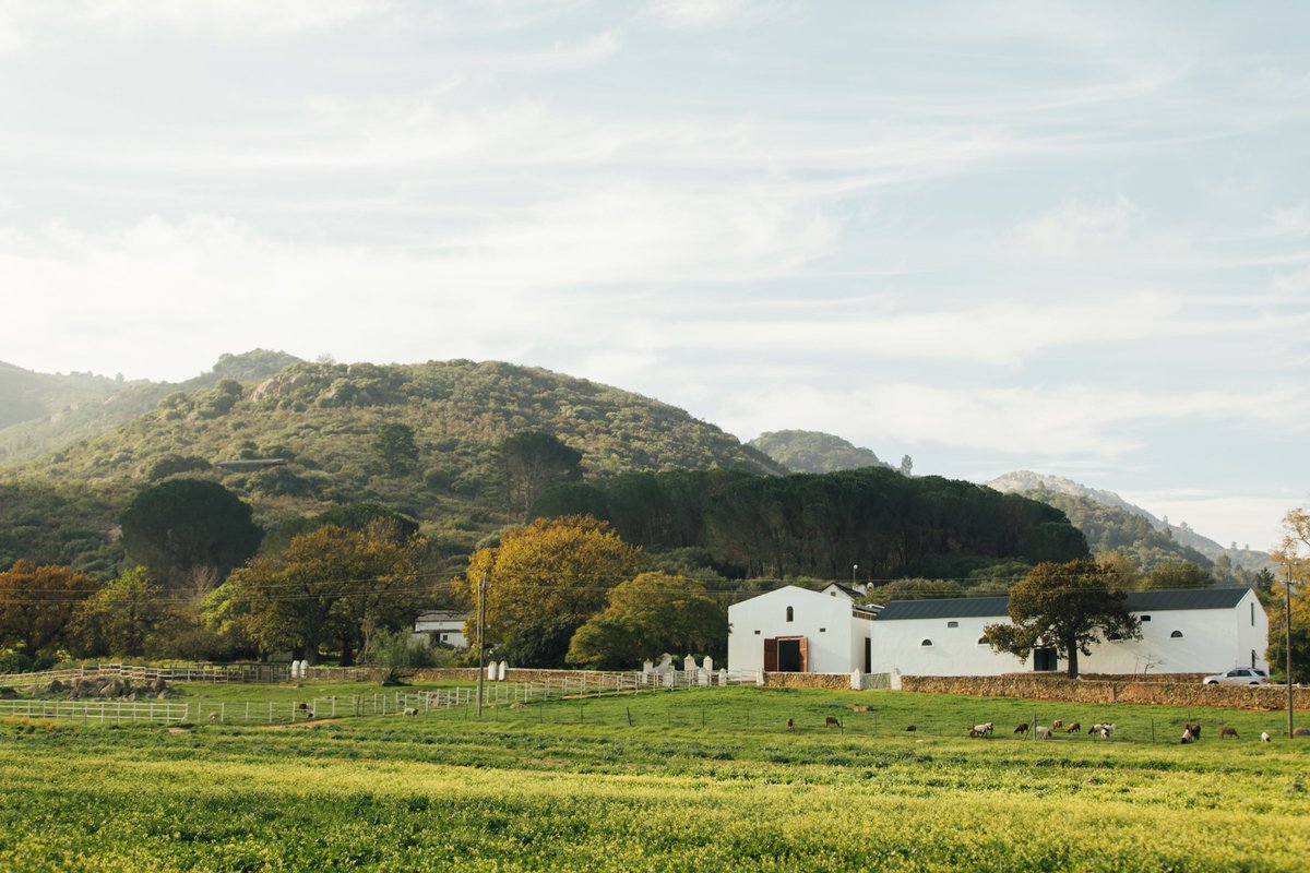 Ayama Wines celebrates the official opening of its’ #Ayamateca Farm Store, by hosting a family open day on Saturday, 8 September 2018, 10:00-17:00. ow.ly/x4EE30lvzc4 #winelands #paarl