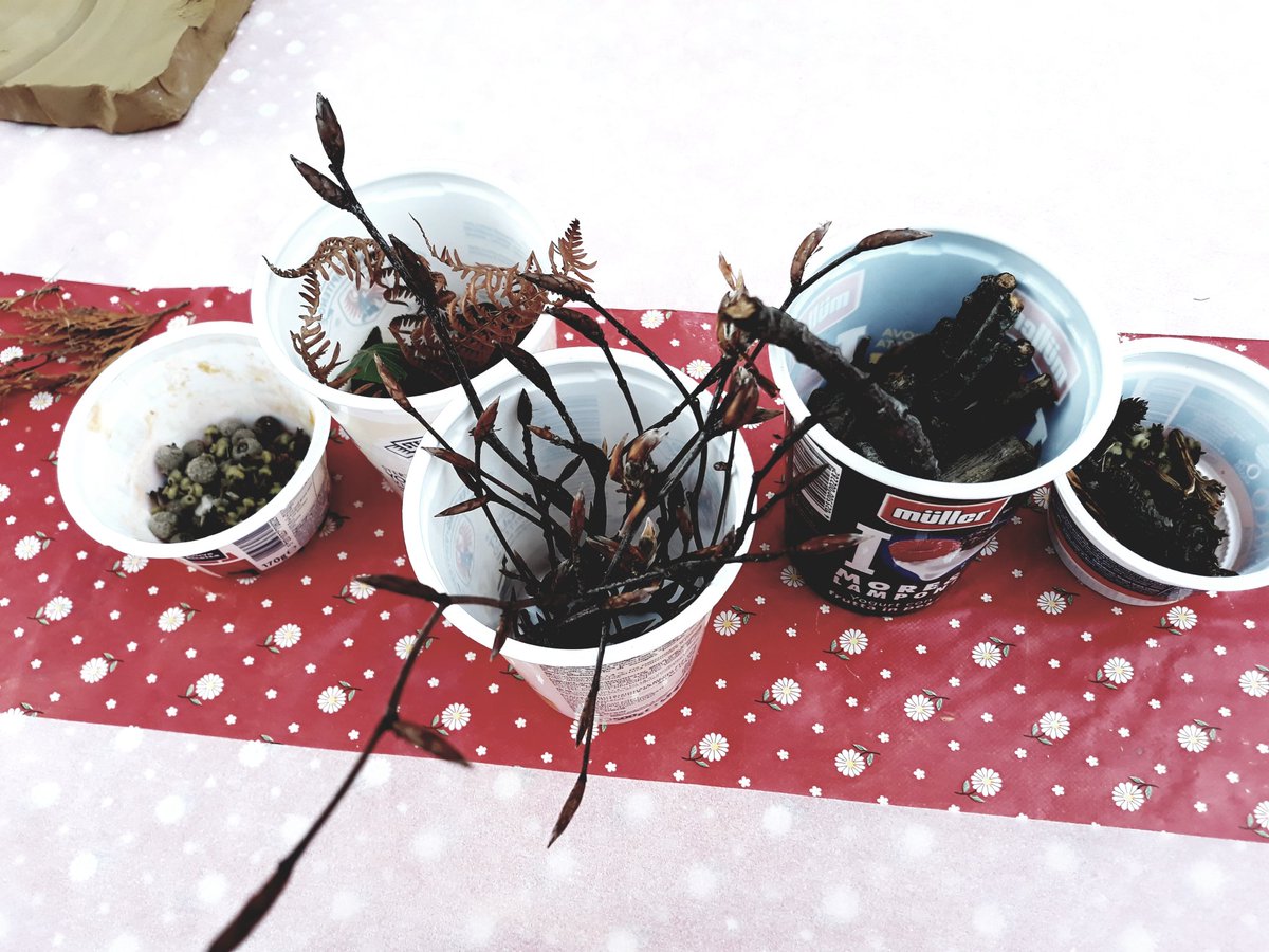 StorieNarra's tweet photo. Inizia il laboratorio "La natura in un impronta" 
Forza #bambini 👧👦👶👩‍⚕️ 

#narrastorie #soffiasogni #arcidosso #festival #infanzia #children https://t.co/GNvwZq269u