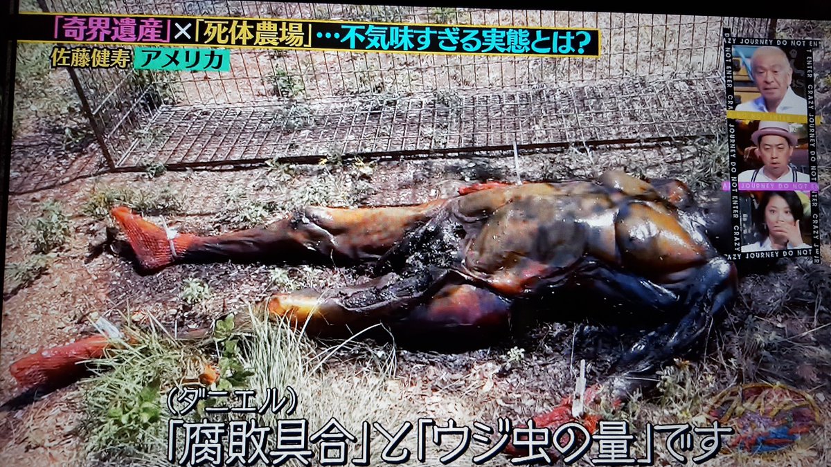 あっちゃん En Twitter 衝撃 世界にはこんな施設もあるのか アメリカにあるその名も死体農場 Body Farm 腐敗状況を研究して事件の解決に役立てているとの事 クレイジージャーニー Tbs あっちゃん En Twitter 衝撃 世界にはこんな施設もあるのか アメリカにあるその名も死体農場 Body Farm 腐敗状況を研究して事件の解決に役立てているとの事 クレイジージャーニー Tbs