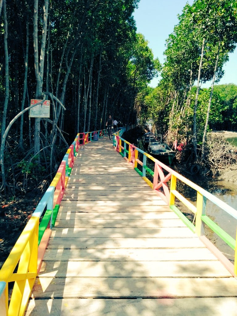 Wisata Hutan Mangrove Kampoeng Ra'ra,Tarowang Jeneponto
<a href="/MNurdinAbdullah/">Nurdin Abdullah</a> <a href="/AbdullahMnurdin/">NURDIN ABDULLAH</a> @KementerianLHK <a href="/SitiNurbayaLHK/">Siti Nurbaya Bakar</a> <a href="/susipudjiastuti/">Susi Pudjiastuti</a>