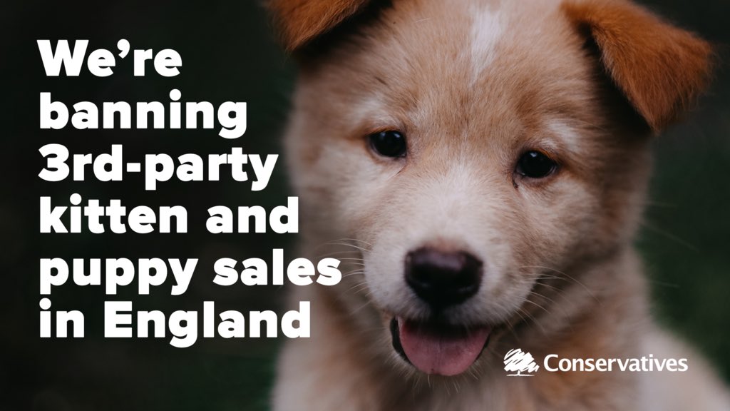 We're banning third-party sales of puppies and kittens in England to improve animal welfare standards. I’m determined to ensure that breeders are accountable and that unscrupulous puppy and kitten farms can no longer profit from their vile trade.