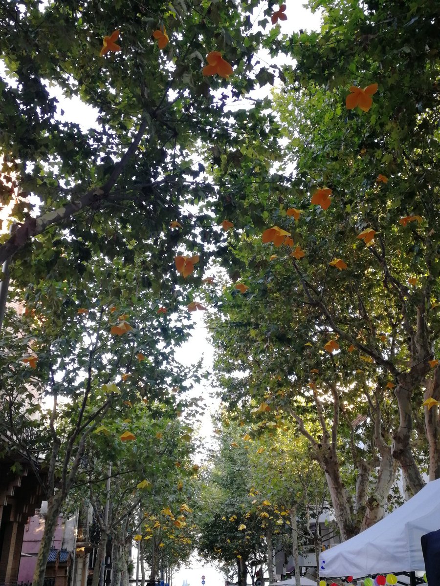 De vacances pel Maresme...mireu que m'he trobat mirant cap al cel ( No ho puc evitar).....😍😍
Una gran iniciativa...💪💪
<a href="/UFOroures/">Observatori UFOlògic de Sant Esteve de les Roures</a> <a href="/BruixesSER/">Bruixes Sant Esteve de les Roures</a> <a href="/Observatori_SE/">Observatorio Astronómico Sant Esteve De Les Roures</a> <a href="/CampanarSEDLR/">Campanar Sant Esteve de les Roures</a> <a href="/324Roures/">324. FakerNius</a> <a href="/HelicopterSER/">Puto Helicòpter de Sant Esteve de les Roures</a> <a href="/clubmorseSEDLR/">Club Morse Sant Esteve De Les Roures</a>