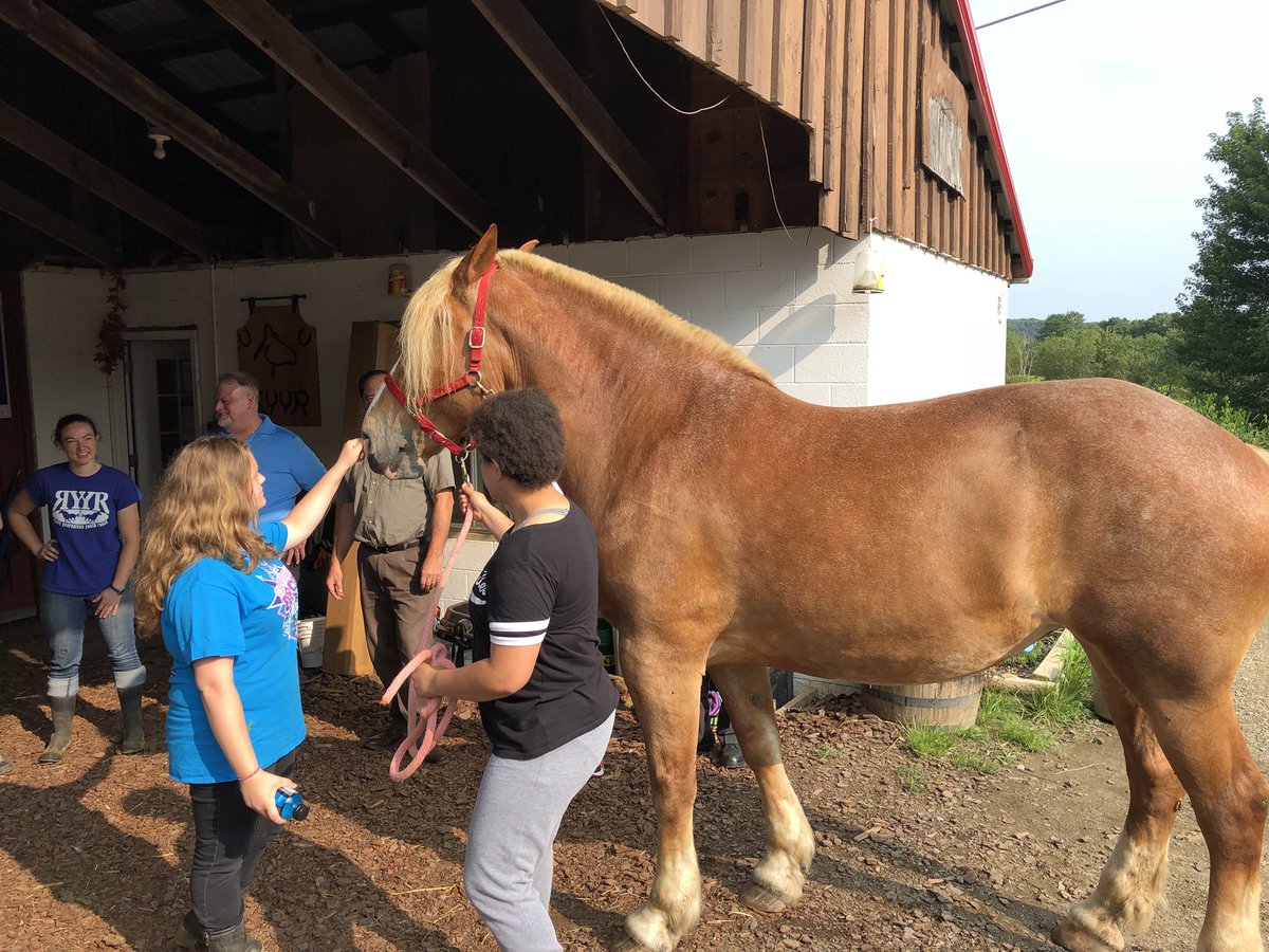 BCCLEC members recently visited Ready Yourselves Youth Ranch to see firsthand the life changing work they are doing with youth in the Beaver County probation program