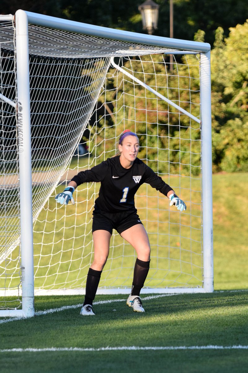 IBM Lotus Notes and Domino 8.5.3: Upgrader\\'s Guide: Upgrade your system and embrace the exciting