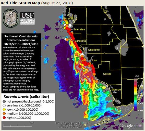 GWaldenWeather's tweet photo. Latest #RedTide numbers are out...Higher #Kbrevis numbers along southern #Pinellas County beaches. Credit: #USF #FWC #WFTV #Florida #Algae #FloridaRedTide https://t.co/XDbeWwL7i7