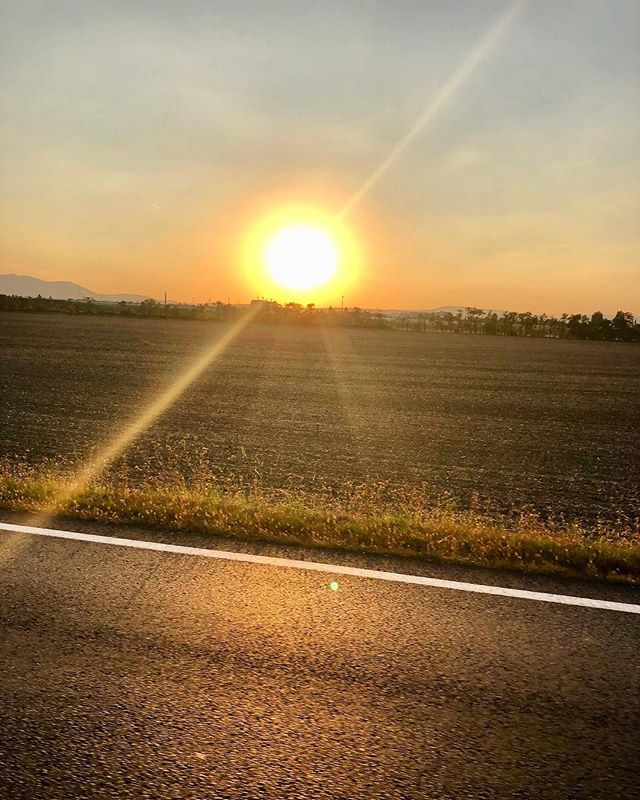 michalkotoc's tweet photo. #zapadslnka #sunset #vienna #austria #road #cesta #pole #field #dnescestujem #obloha #sky #skylovers #slovak #austria #beautiful #krasa #summer #leto #summer2018 #leto2018 #nacestach #svetuspesnych #slnko #sun #sunnyday #slnecnyden #beautifulday #krasnyd… https://t.co/ybtCaGeBc4 https://t.co/3EgtWHHOYZ