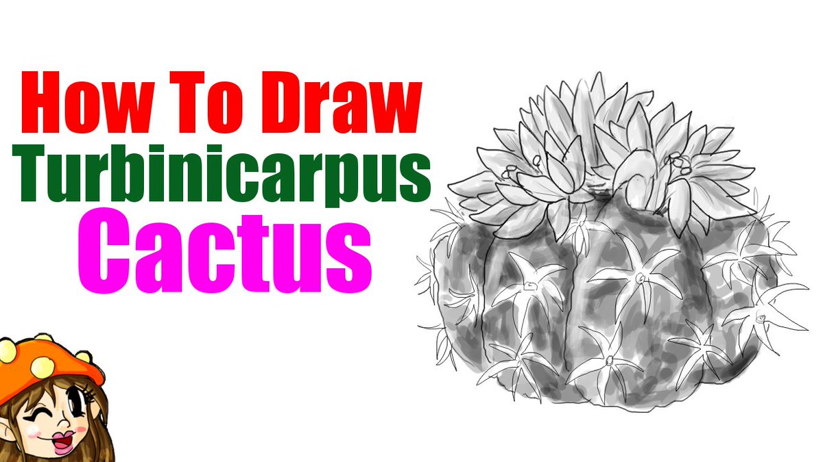 ParasolMushroom's tweet photo. In case you missed it, I made a drawing tutorial on Turbinicarpus Cactus.
Video: https://t.co/gPajzHeXsQ
#howtodraw #supportsmall #plants #cactus #smallyoutube #smallyoutubearmy #smallyoutuber #howtodrawtutorials https://t.co/tkqYBNzyQa
