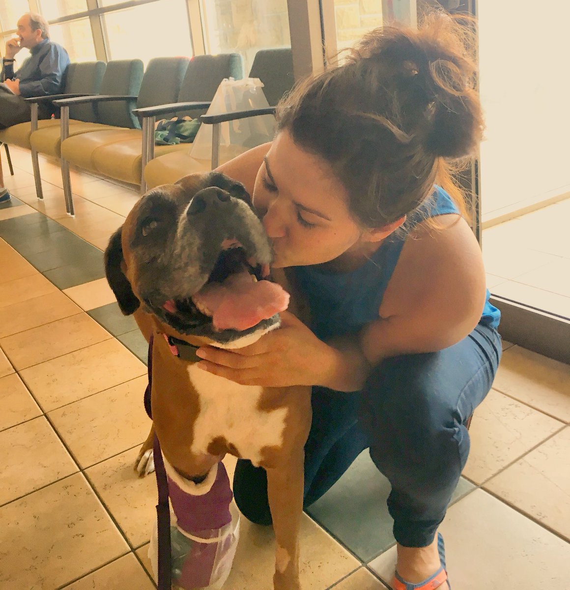 Time to go home Calaigh ❤️🐾
The last three days have been an emotional roller coaster but reading your messages of love &amp; support helped SO much.
Thank you, truly, from the bottom of my heart 🙏🏼❤️
<a href="/vcacanada/">VCA Canada</a>