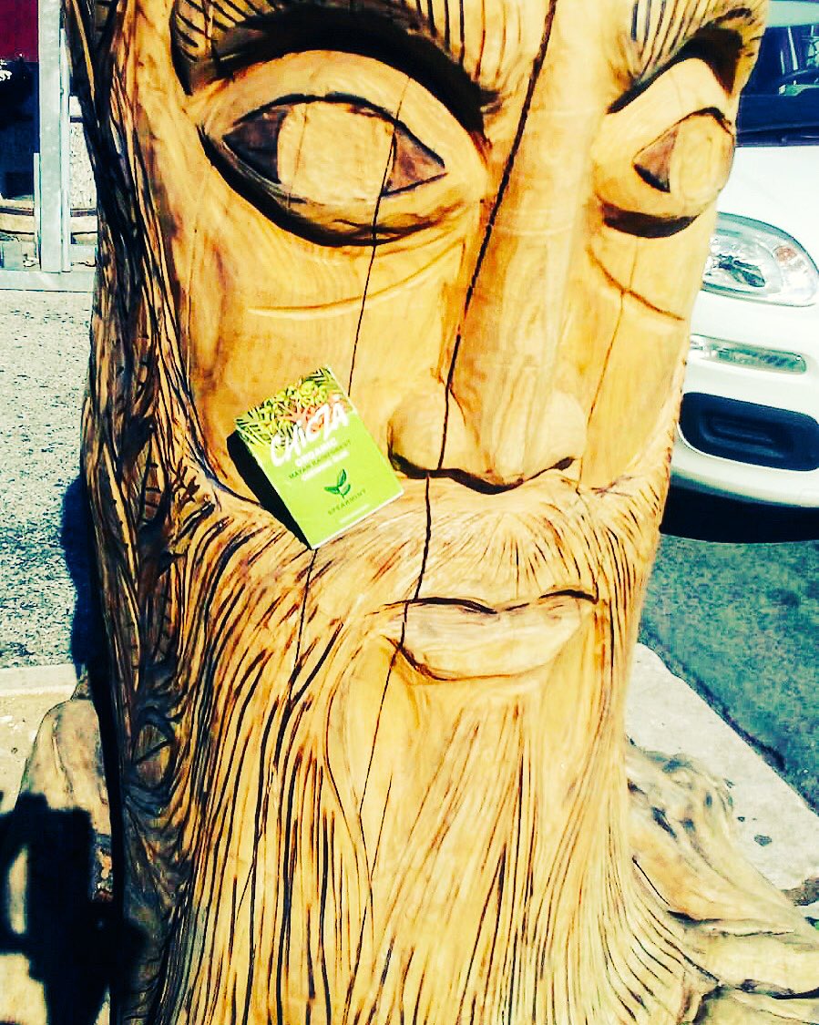 ChiczaItalia's tweet photo. #Chicza si fa un #giro ad #Avezzano (AQ) 🤙 #Abruzzo #tronco #troncone #albero #natura #streetart #arte #riuso #occhi #naso #bocca #viso #espressione #alberomagico #gommadamasticare #biologica #vegan #kosher #glutenfree #senzalattosio #naturale https://t.co/Mvk0Whspm4