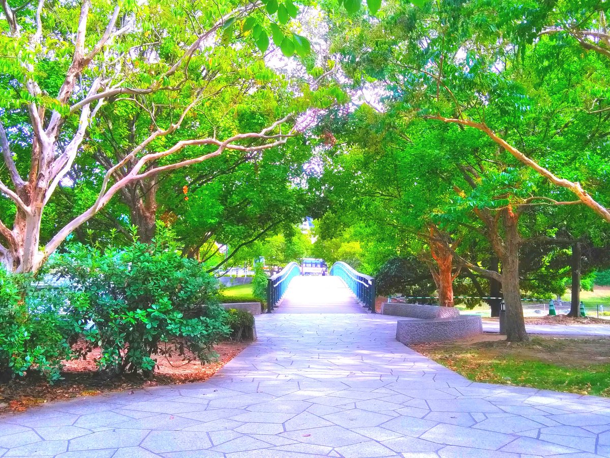 Waa__photo's tweet photo. 「緑の世界に包まれてうっとり。」

#写真好きな人と繋がりたい
#ファインダー越しの私の世界
#少しでもいいなと思ったらRT
#photography 
#キリトリセカイ https://t.co/THVkBI5bi9
