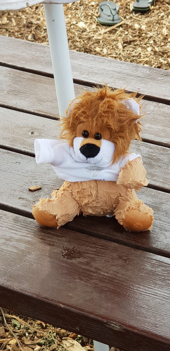 Piers G Player tweet media