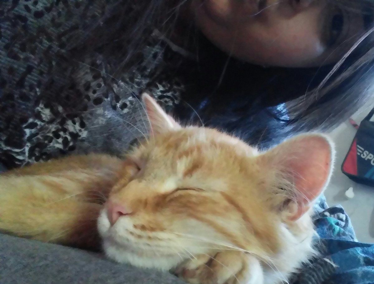 Margaritamtlp's tweet photo. Bonito #Ronro 😍👑 https://t.co/ck2XPUuGgL