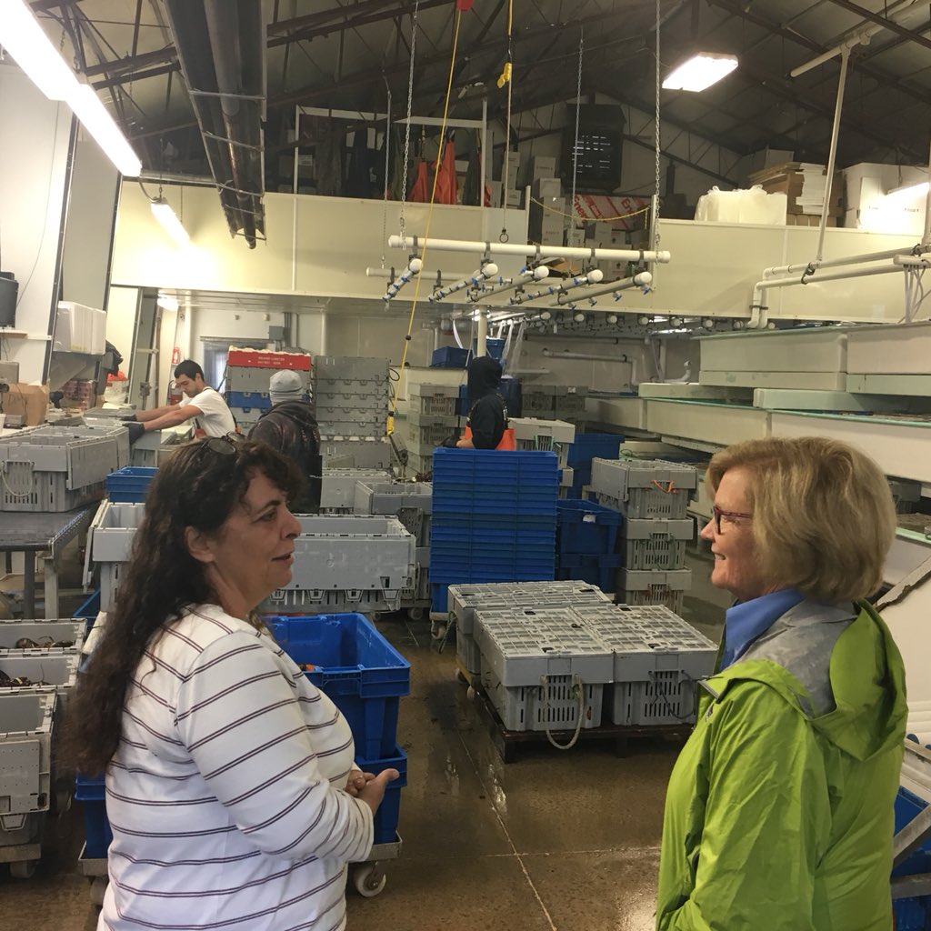 Today I’m in Arundel meeting with The Lobster Company, a wholesale