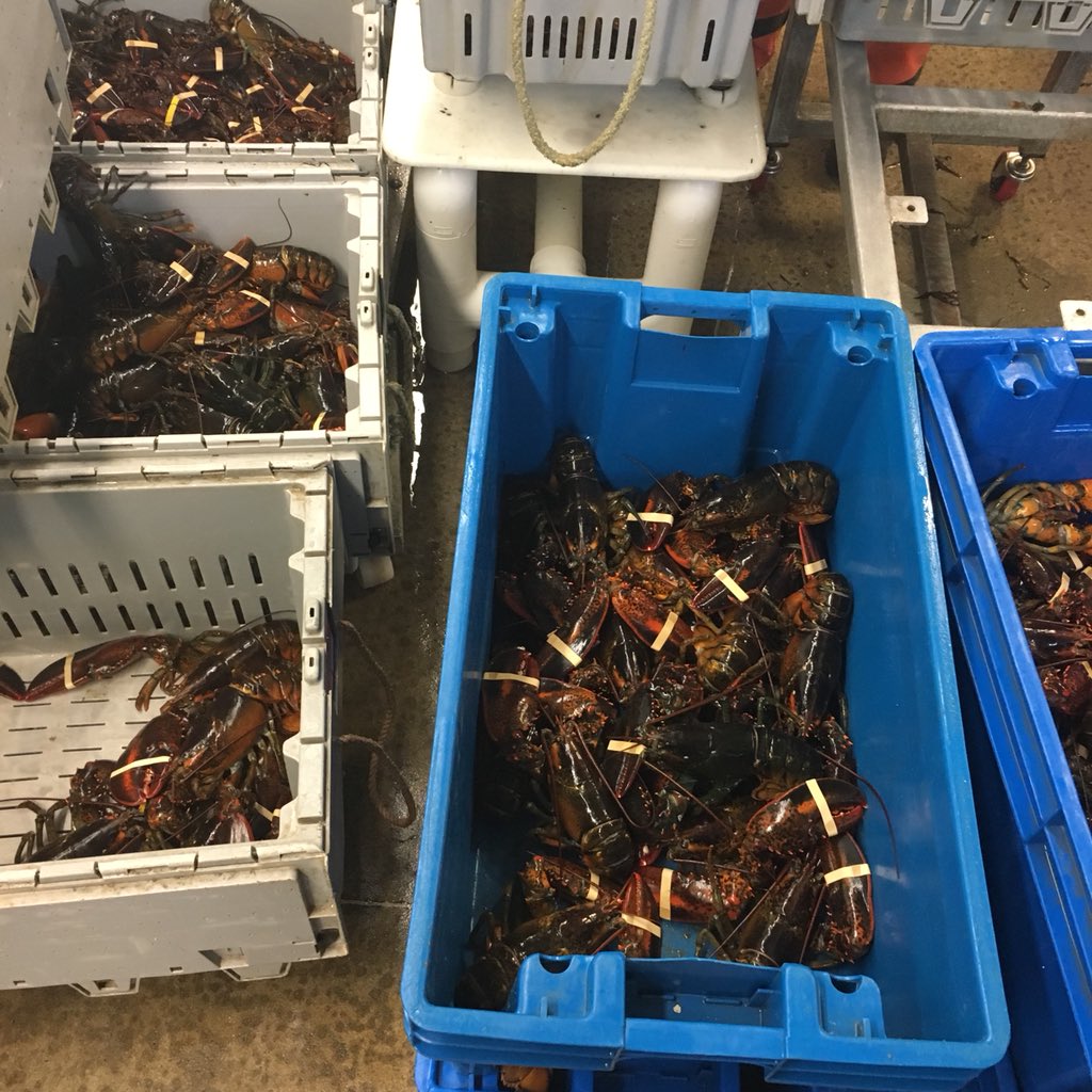 Today I’m in Arundel meeting with The Lobster Company, a wholesale