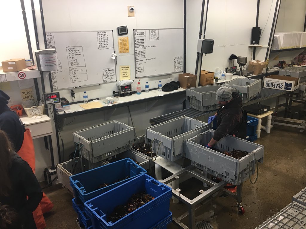 Today I’m in Arundel meeting with The Lobster Company, a wholesale