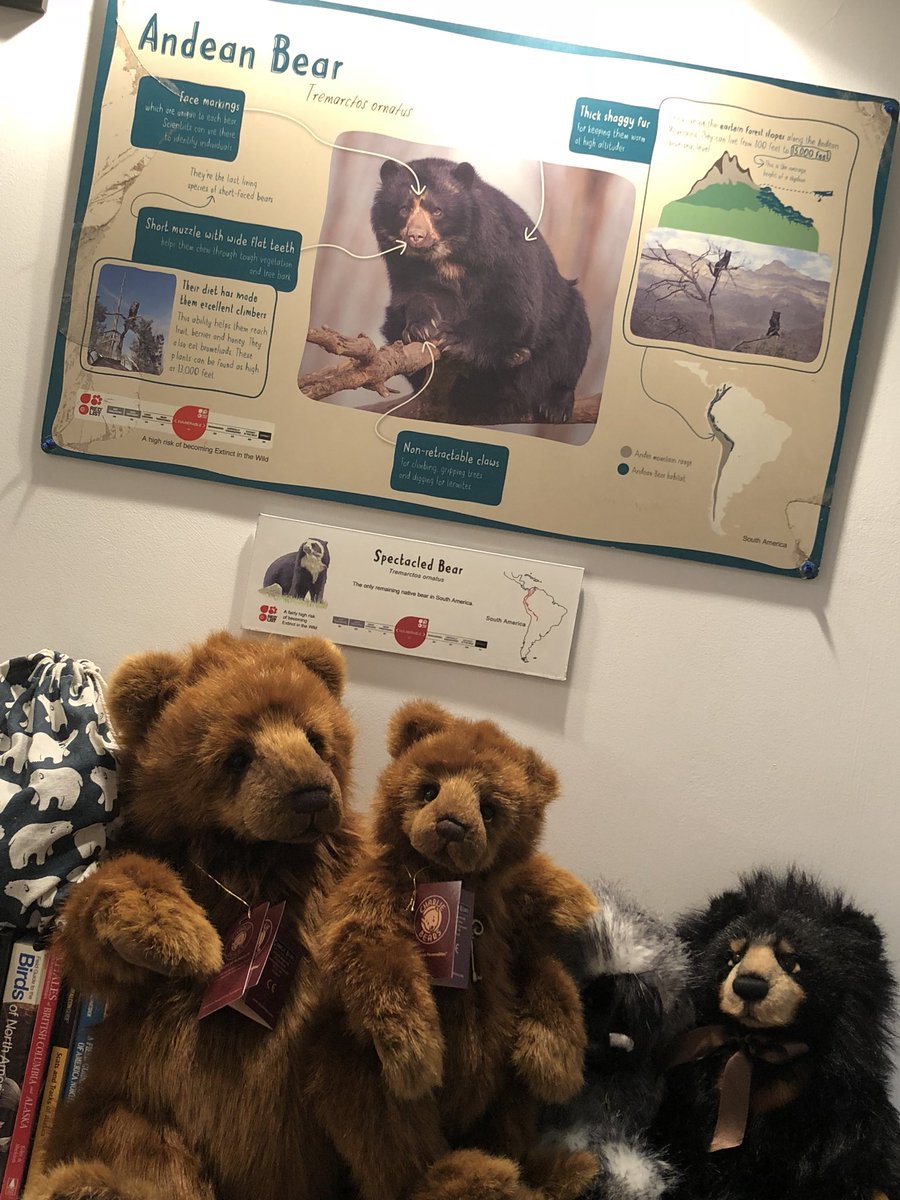 emilygilford's tweet image. Welcome to the bear zone 😎🐻

2/3 signs here, one making the trip to sunny Cornwall 🌊

#ThisSignIsMine #GiveASignAHome #PreventingExtinction

See if any of the signs from @chesterzoo take your fancy here: ebay.co.uk/usr/chester-zoo

Thank you to @BettyShmem and @roseandimza !