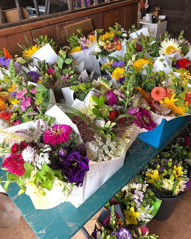 ShannonPratt's tweet photo. I love my Wednesday visits to @barbsbouquets #PEI https://t.co/aIG9MiJdQc https://t.co/4Wk5lD6HuN