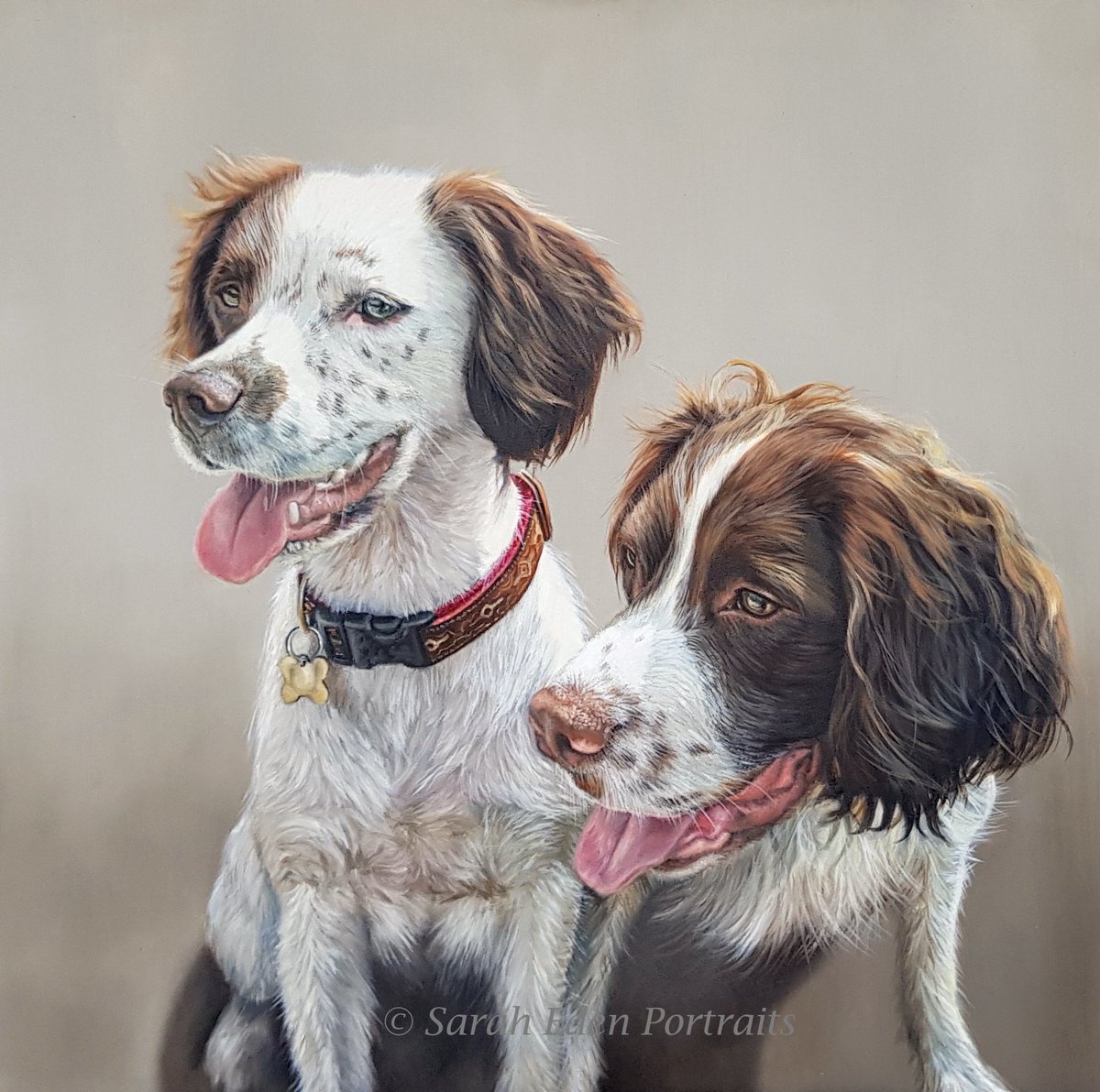 Just finished this lovely pair of Springers! Oil on board, 16 x 16'. Please get in touch if you're considering a commission of your own. :-) 

#springer #springerspaniel #petportrait #oilportrait #dogpainting #art #paintmydog