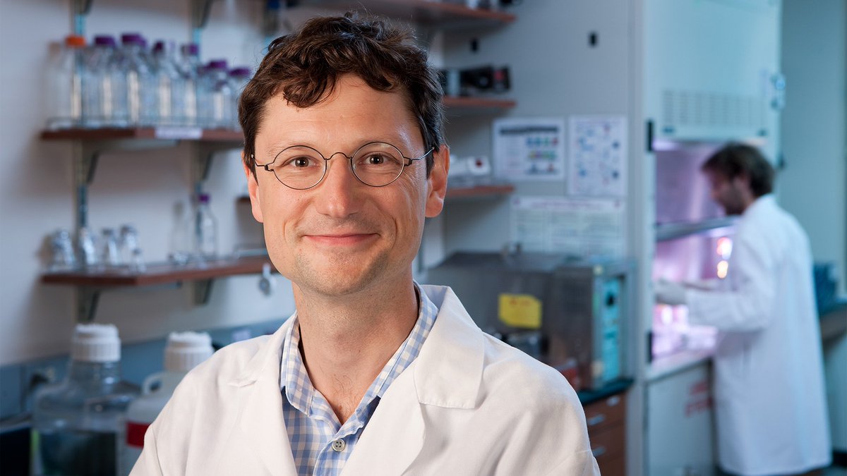 Gladstone Institutes (@gladstoneinst) on Twitter photo Gladstone is pleased to announce Marius Wernig from <a href="/StanfordMed/">Stanford Medicine</a> as the winner of the 2018 Ogawa-Yamanaka Stem Cell Prize! gladstone.org/about-us/news/… Gladstone is pleased to announce Marius Wernig from <a href="/StanfordMed/">Stanford Medicine</a> as the winner of the 2018 Ogawa-Yamanaka Stem Cell Prize! gladstone.org/about-us/news/…