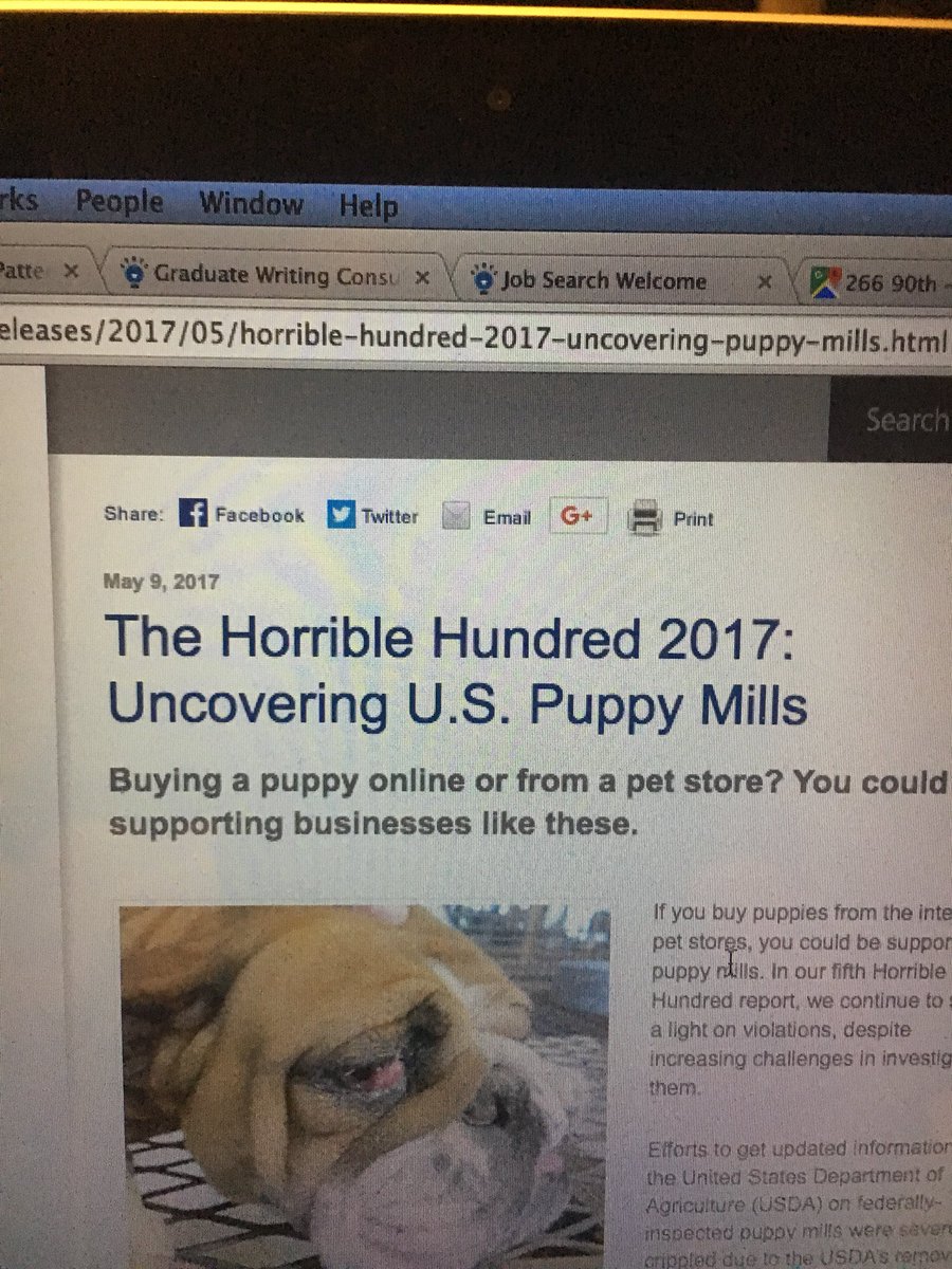 lauren_beebs's tweet photo. NEWTON FRIENDS:
By brother got a puppy a month ago from True Value. Pip is a runt with a lot of health problems but we LOVE him. 

The first 2 pics are from a story about mills in the US. The 3rd pic is Pip’s papers, saying he is from one of the worst puppy mills in the US https://t.co/XVrnmXo9QU