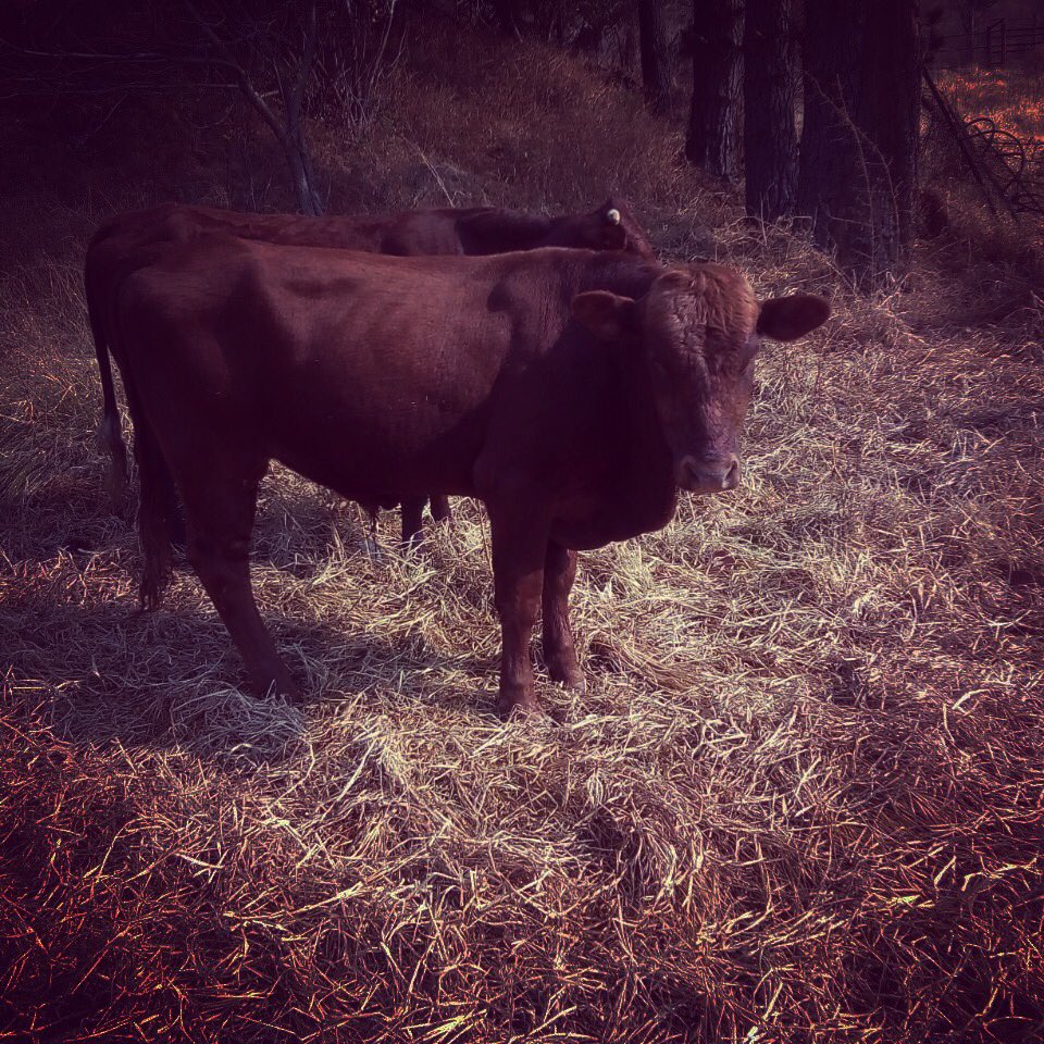 FuxGroup's tweet image. #LIVEX