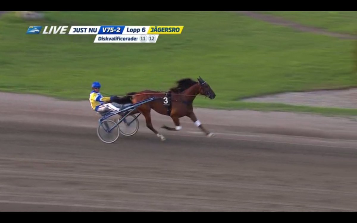 moncorge_c's tweet photo. #Trot 🇸🇪 2e qualif #TravDerby @Jagersro
1⃣ Mellby Fire #GoingKronos @StallTimoNurmos
2⃣ Output Pressure #GigantNeo @stefan_melander
Drôle de perf. de ce Mellby Fire qui a démarré sur le pied de '4 et qui réussi à reprendre à départ entrée de ligne droite ! 1.13 sur 2.640m https://t.co/IaXskXKBeJ