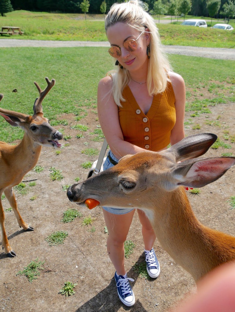 VictoriaMcg06's tweet image. 1er article : à la découverte du @parcomega , un endroit juste somptueux ! godsaveourdressing.blogspot.com/2018/08/parc-o… Bonne lecture :) #parcomega #canada #nature #voyagecanada