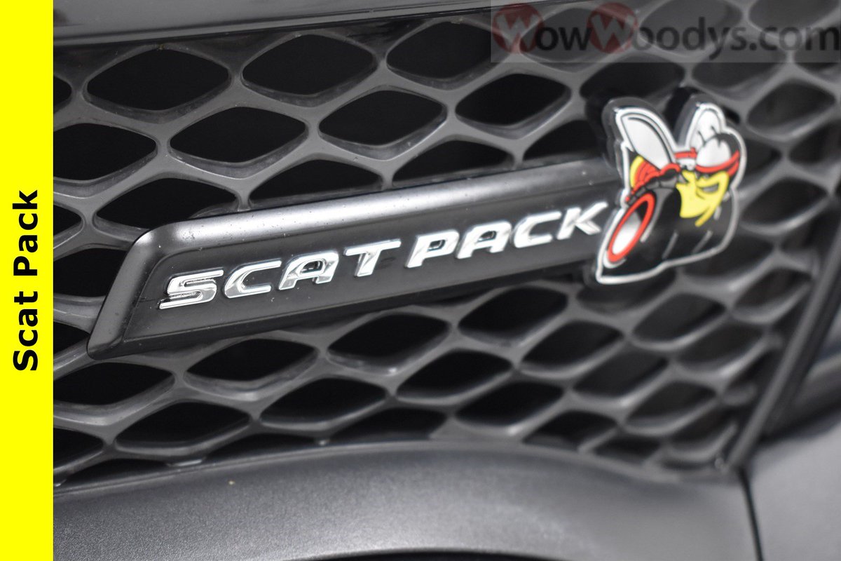 WowWoodysKenzie's tweet photo. #Mopar #ScatPac Ready for that top notch Performance! You can now have it in your Charger, Know the unknown and be in full control. You got your Launch Control, Drive Mode & So much more with all your Performance Pages .https://t.co/fqCaTXBn8m https://t.co/3WhPi6EoDW