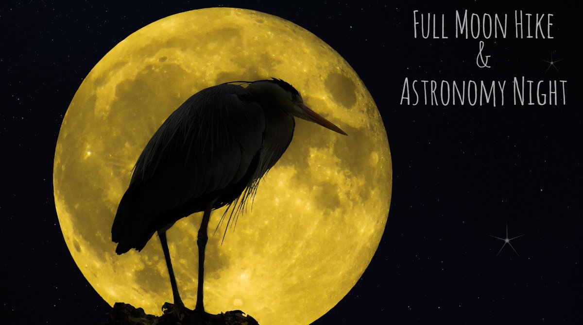 LovelandParks's tweet photo. Hike under the full moon and stop for a little stargazing afterward. Sat. Aug. 25 8-10pm at Old. St. Louis Natural Area. FREE! Registration requested at https://t.co/c79CNMbE7v #Loveland #VisitLoveland #HikeLoveland https://t.co/gPQG8acUjr