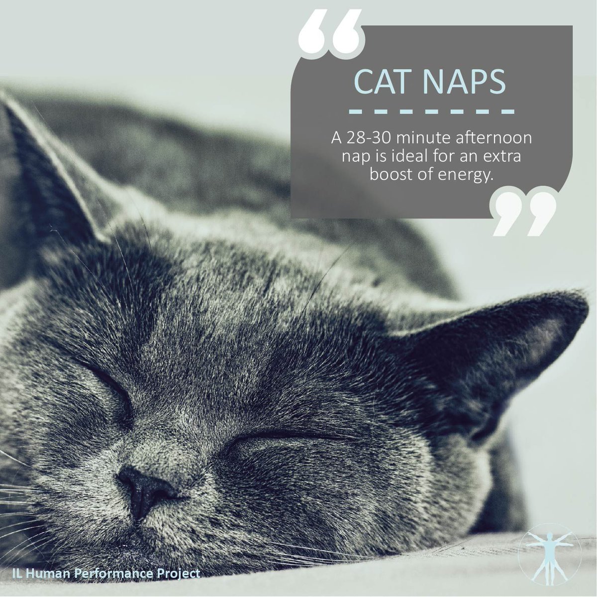 GNHSWellness's tweet photo. It's #WellnessWednesday, @GrayslakeNorth!  Feeling sleepy?  Follow the advice of @IL_HPP and take a cat nap!  😻😺😺😸 https://t.co/YpN1JIanTn