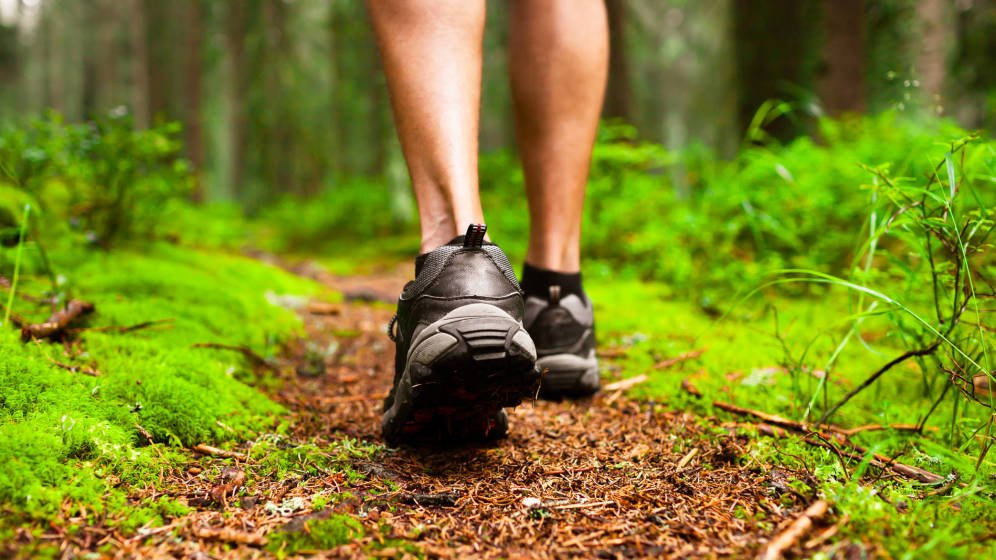 Saludando tweet media